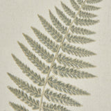 Fern Botanical Print on Texture-Torn Paper with Beaded Frame – White