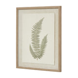 Fern Botanical Print on Texture-Torn Paper with Beaded Frame – White