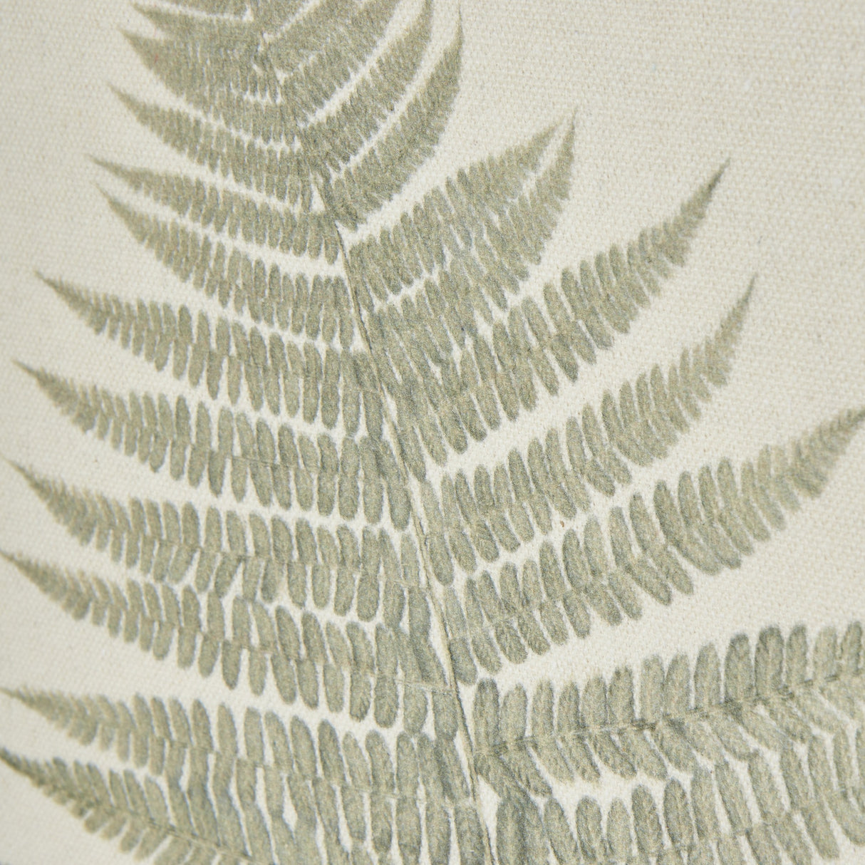 Close-up of Hill Interiors Bracken Botanical Print showing muted green fern fronds printed on textured cream paper.