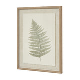 Hill Interiors Bracken Botanical print on texture-torn paper, framed in a slim white beaded frame behind glass, shown at an angle.