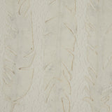 Close-up of Hill Interiors White Feathers framed wall art showing soft white feather detail against a pale textured backdrop.