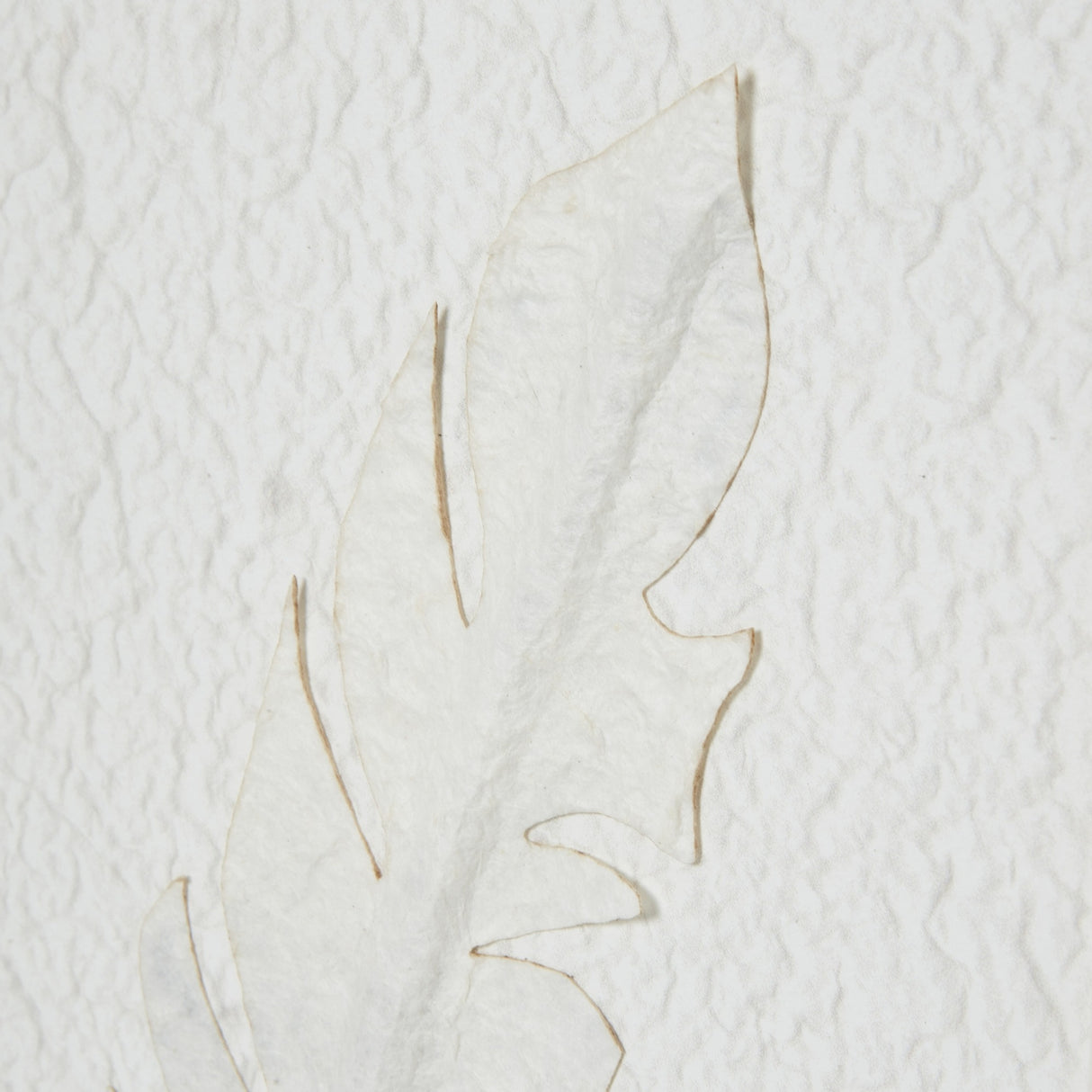 Close-up of Hill Interiors White Feathers Framed Wall Art showing delicate white feather shapes on a textured pale ground.