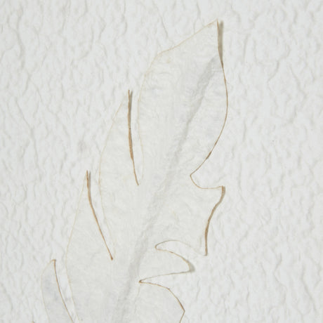 Close-up of Hill Interiors White Feathers Framed Wall Art showing delicate white feather shapes on a textured pale ground.