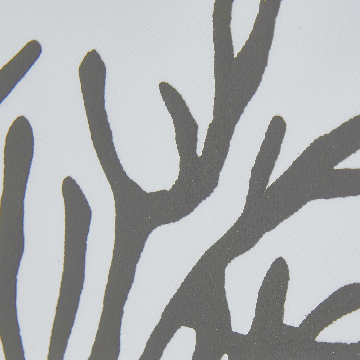 Close-up of Hill Interiors Reef Coral framed wall art showing branching coral print in grey tones behind a glossy glass front on a white background.