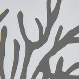 Close-up of Hill Interiors Reef Coral framed wall art showing branching coral print in grey tones behind a glossy glass front on a white background.