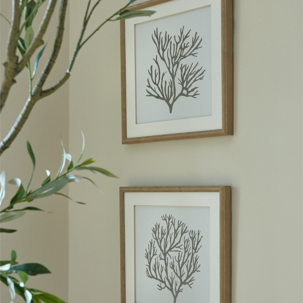 Hill Interiors Reef Coral framed wall art pair with beaded wooden borders, displayed on a neutral wall beside a leafy indoor plant in a living room.