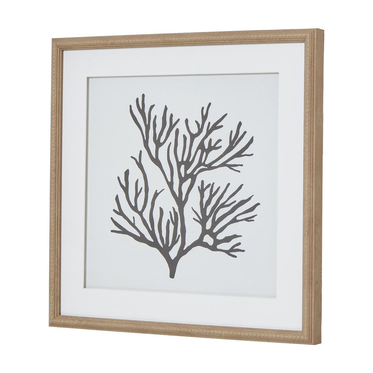 Hill Interiors Reef Coral framed wall art with a square beaded wooden border, showing a grey coral branch print behind glass on a white mount.