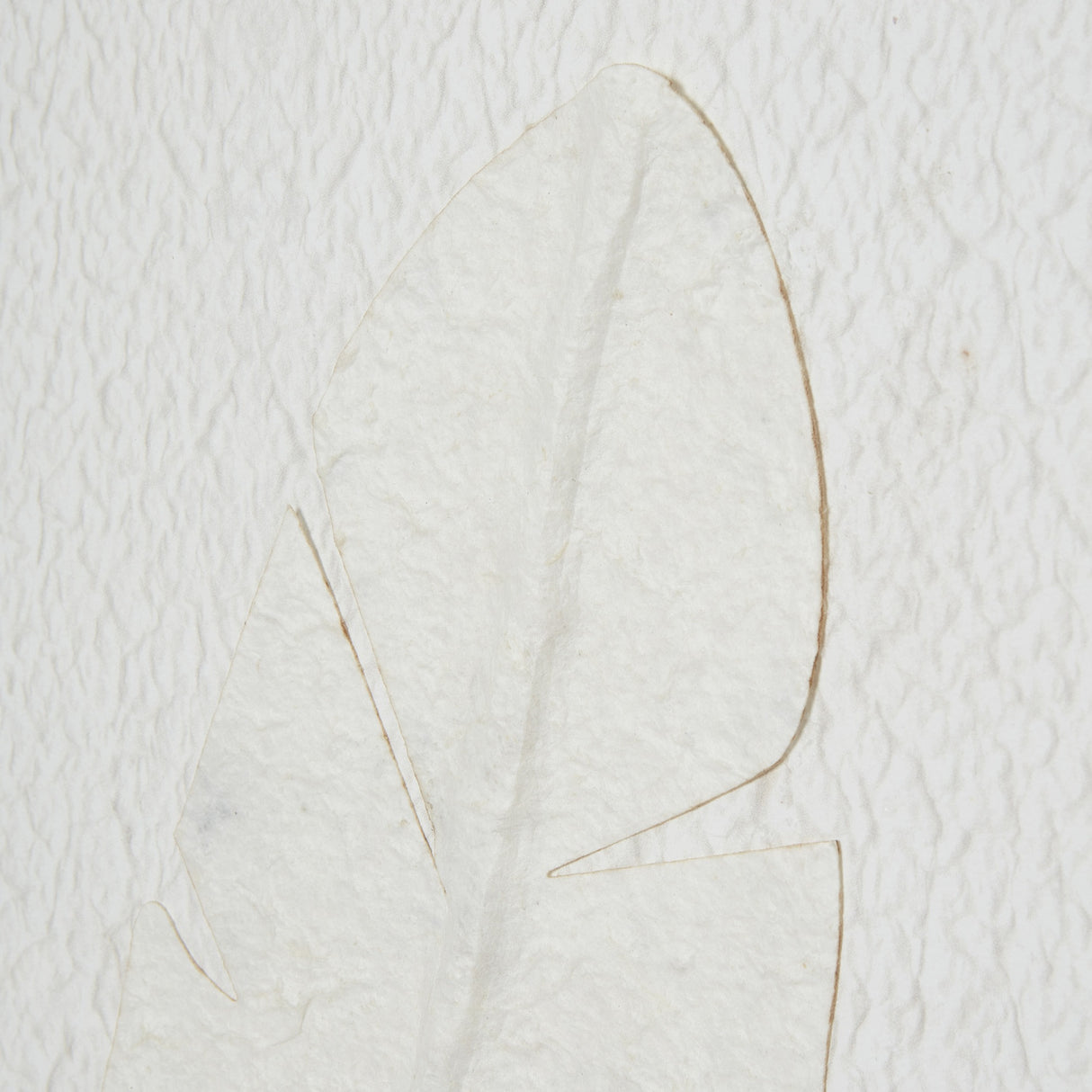 Large Quill White Feather Print in Beaded Frame – White