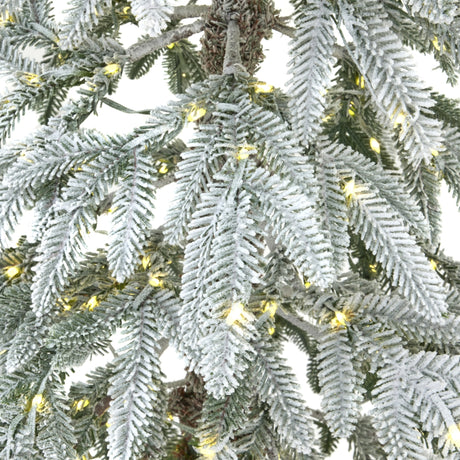 Close-up of Hill Interiors Large Snowy Woodland Christmas tree branches with dense green needles, snow-flocked tips and warm LEDs glowing through foliage.