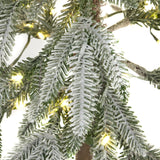 Close-up of snow-dusted green branches on the Hill Interiors Snowy Woodland Christmas tree, with warm white LED lights glowing among the frosted foliage.