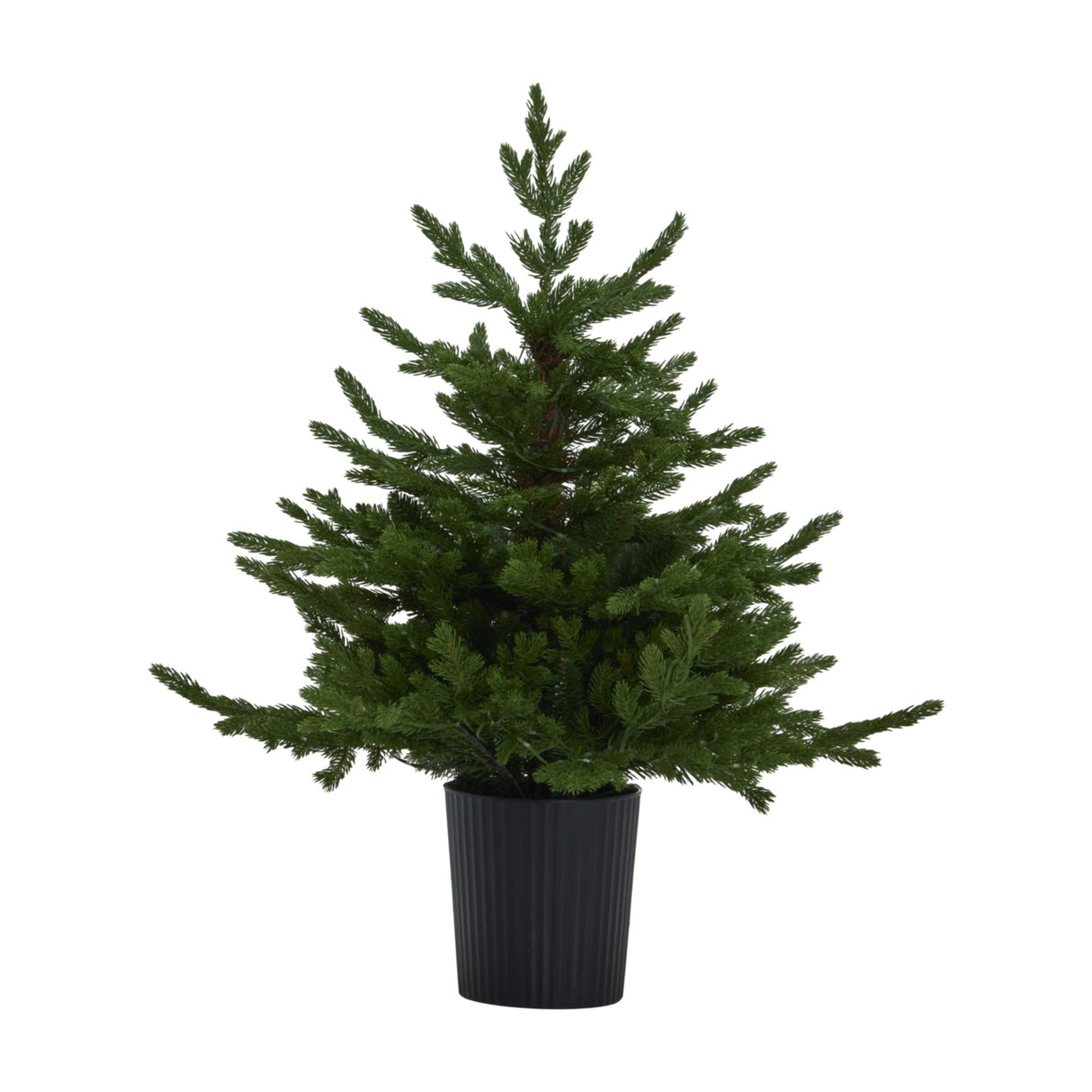 Hill Interiors pre-lit LED fir Christmas tree in a ribbed black pot, full green foliage tapering to a pointed tip, shown on a plain white background.