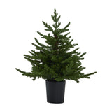 Hill Interiors pre-lit LED fir Christmas tree in a ribbed black pot, full green foliage tapering to a pointed tip, shown on a plain white background.
