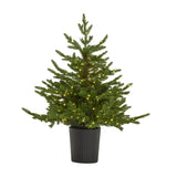 Hill Interiors pre-lit LED fir Christmas tree in a ribbed black pot, 300 warm lights woven through green foliage, shown on a plain white background.
