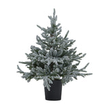 Hill Interiors Snowy Forest Fir potted Christmas tree with frosted green plastic branches and 300 warm LED lights in a black ribbed pot.