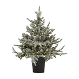 Hill Interiors Snowy Forest Fir pre-lit potted Christmas tree with frosted green branches and 300 warm LED lights in a black ribbed pot.