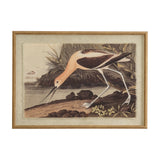 Hill Interiors Avocet on Linen framed wall art, landscape print of a wading bird on natural linen within a warm brown beaded frame.
