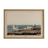 Hill Interiors Plovers on Linen wall art in landscape format, showing two wading birds on a rocky shore, set on linen behind glass in a beaded brown frame.