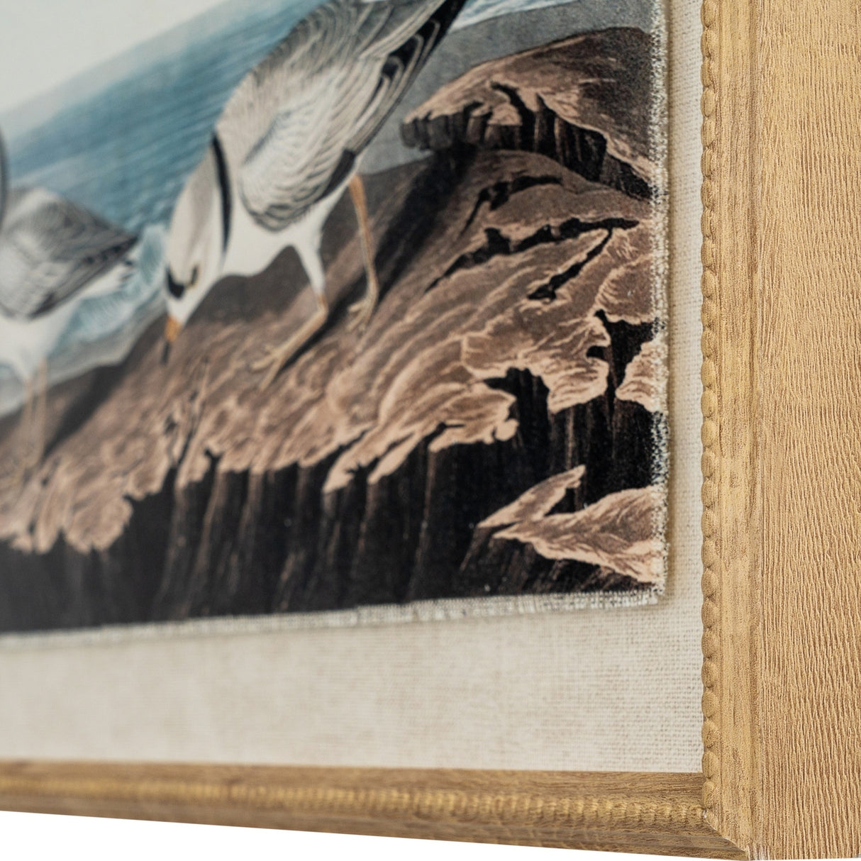 Close-up corner detail of Hill Interiors Plovers wall art showing the beaded wooden frame, linen mount and printed plover illustration behind glass.