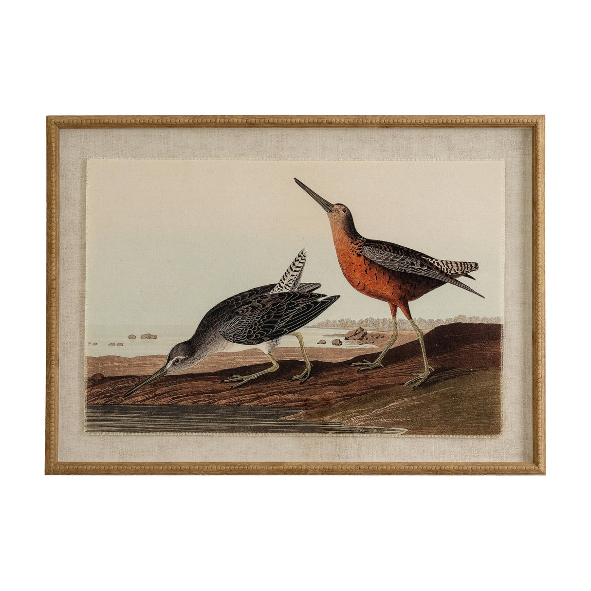 Flora & Fauna Snipes on Linen in Beaded Frame – Brown