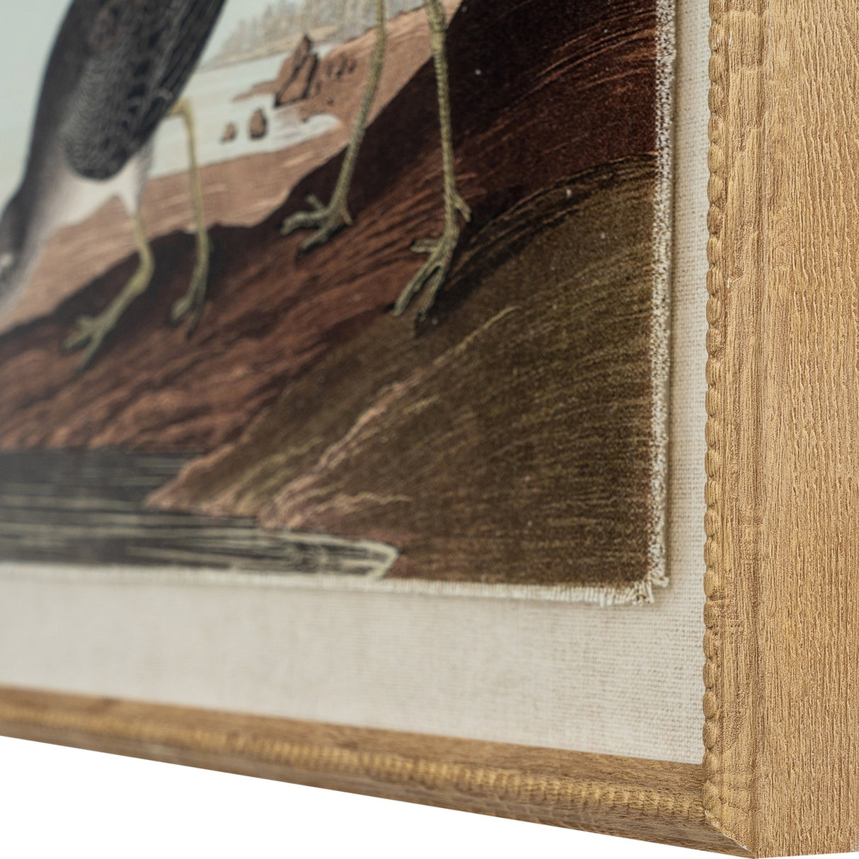 Flora & Fauna Snipes on Linen in Beaded Frame – Brown