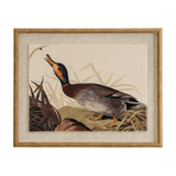 Hill Interiors Duck on Linen Print in Beaded Frame in brown, showing a mallard among reeds on linen ground within a beaded wooden frame.