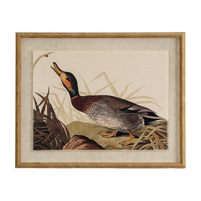Hill Interiors Duck on Linen Print in Beaded Frame in brown, showing a mallard among reeds on linen ground within a beaded wooden frame.
