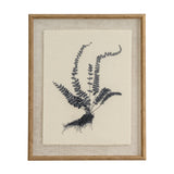 Hill Interiors Botanical Spleenwort print on linen, showing a black fern study with arching fronds and roots, set in a white beaded wooden frame.