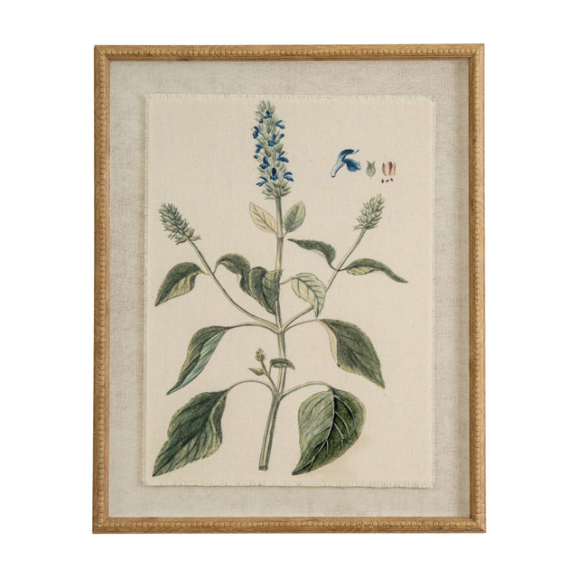 Hill Interiors Salvia on Linen botanical print with blue flowers and green leaves, set behind glass in a beaded brown wooden frame.