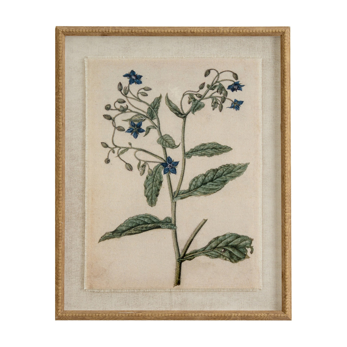 Borage on Linen Botanical Print in Beaded Frame – Brown