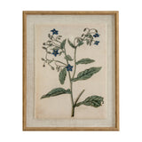Borage on Linen Botanical Print in Beaded Frame – Brown
