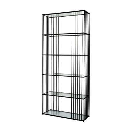 Hill Interiors Glass Shelf Unit with slim black powder-coated metal frame and five clear tempered glass shelves, shown against a plain white background.