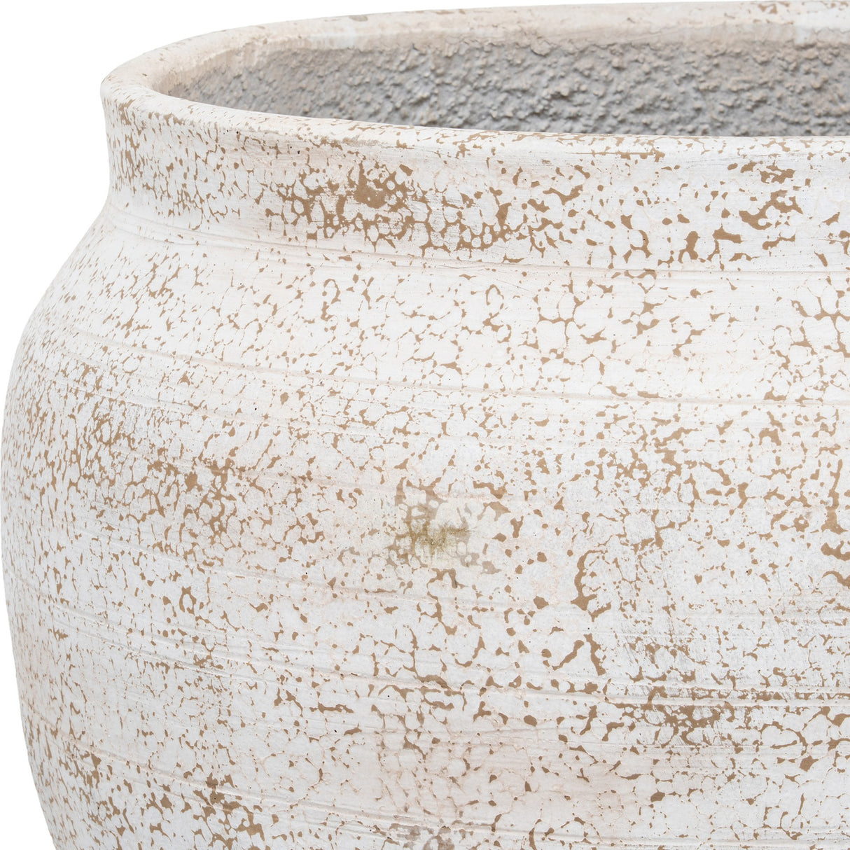 Close-up of Hill Interiors Rustic Wash Belly Planter showing the concrete body with mottled white and beige finish and subtle horizontal ridging.