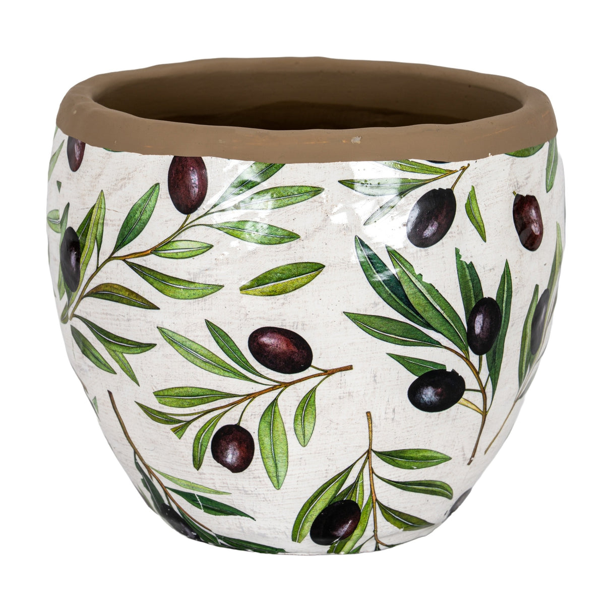 Medium Olive Ceramic Planter – White
