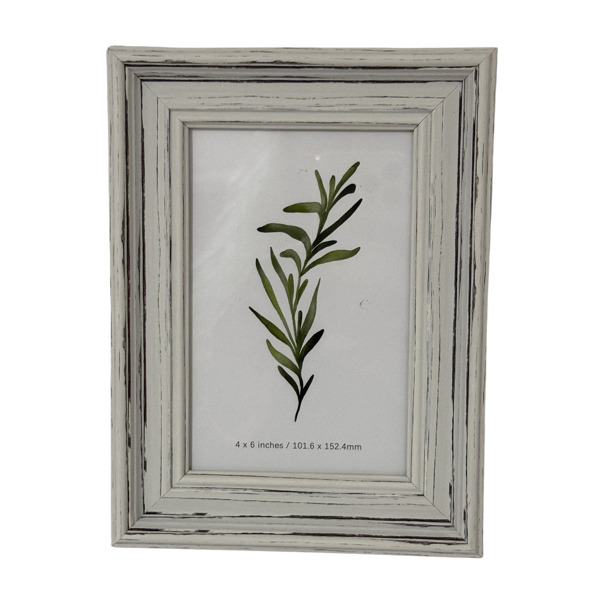 Hill Interiors white wooden 4x6in photo frame with a distressed painted finish, displaying a green botanical print on a plain background.