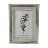 Hill Interiors white wooden 4x6in photo frame with a distressed painted finish, displaying a green botanical print on a plain background.