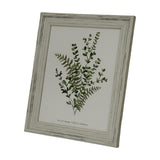 Hill Interiors wooden 8x10in photo frame in distressed white finish with moulded profile, displaying a botanical print, shown on a plain background.