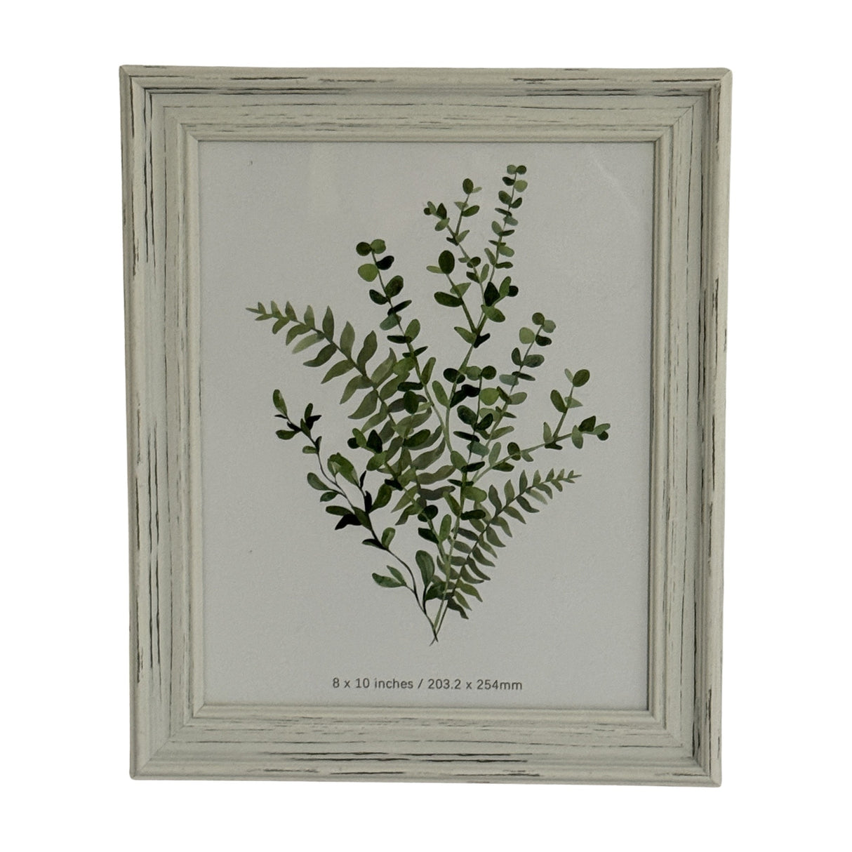 Hill Interiors wooden 8x10in photo frame in distressed white finish, displaying a green botanical print of eucalyptus and fern foliage.