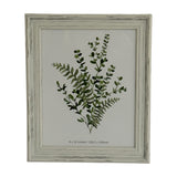 Hill Interiors wooden 8x10in photo frame in distressed white finish, displaying a green botanical print of eucalyptus and fern foliage.