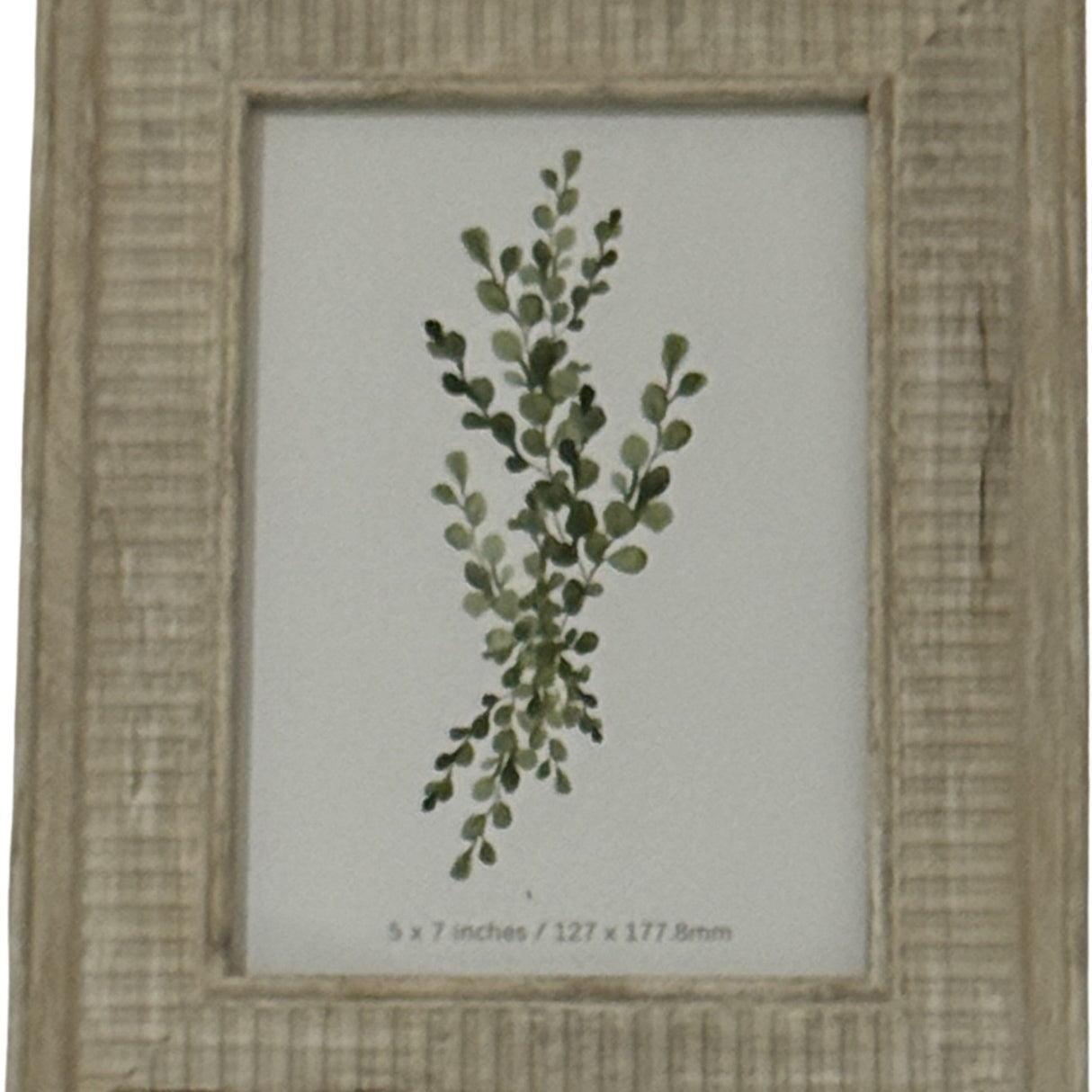 Hill Interiors white wooden 5x7in photo frame with textured painted finish, displaying a green botanical eucalyptus print behind glazing.