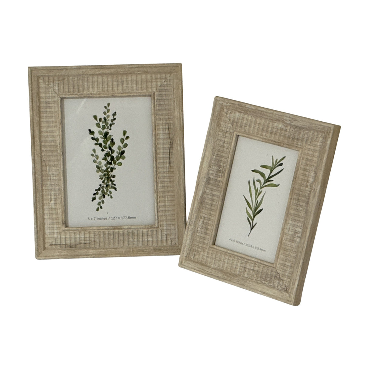 Hill Interiors white wooden photo frames with textured finish, shown in two sizes displaying botanical prints, on a plain white background.