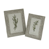 Hill Interiors wooden 4x6 photo frames in a distressed pale grey finish, displayed upright with botanical prints on a plain white background.