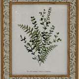Hill Interiors wooden 8x10 photo frame with brown inner border and outer surround featuring a soft green leaf pattern on a cream background.