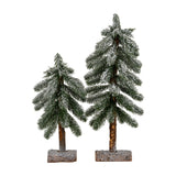 Hill Interiors Medium Snowy Pine Tree shown beside a smaller version, both with frosted green needles on natural wooden stands against a white background.