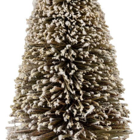 Close-up of the Hill Interiors Medium Frosted Cone Brush Tree in brown, showing densely packed bristle fibres dusted with white frosting on a plain background.