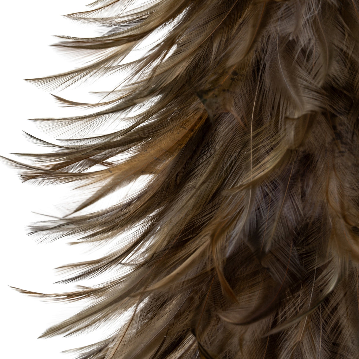 Close-up of the Hill Interiors Large Faux Feather Tree in brown, showing layered feather-style fronds fanning from slim stems against a white background.