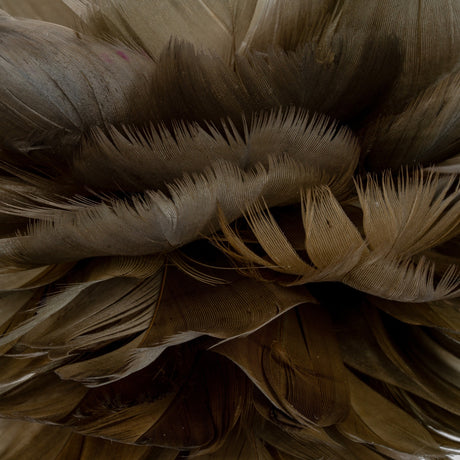 Close-up of layered fawn brown feathers on the Hill Interiors Medium Feather Ball Christmas decoration, showing soft natural texture and warm earthy tones.