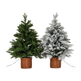 Snowy Norway Fir Pre-Lit LED 300L Tree in Rattan Pot – White