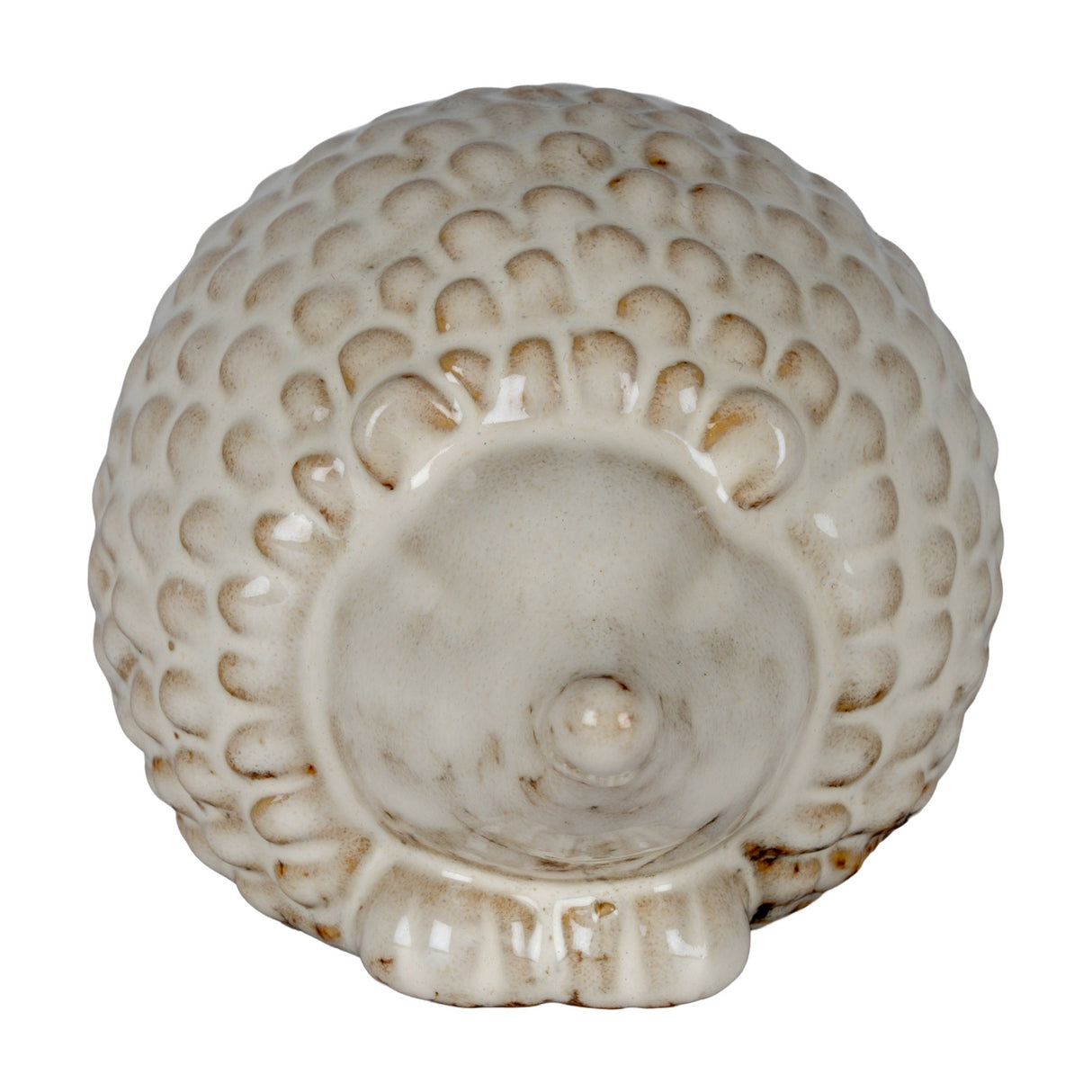 Underside view of the Hill Interiors Ceramic Large Hedgehog in white, showing the glazed base, sculpted spines around the edge, and small tail detail.
