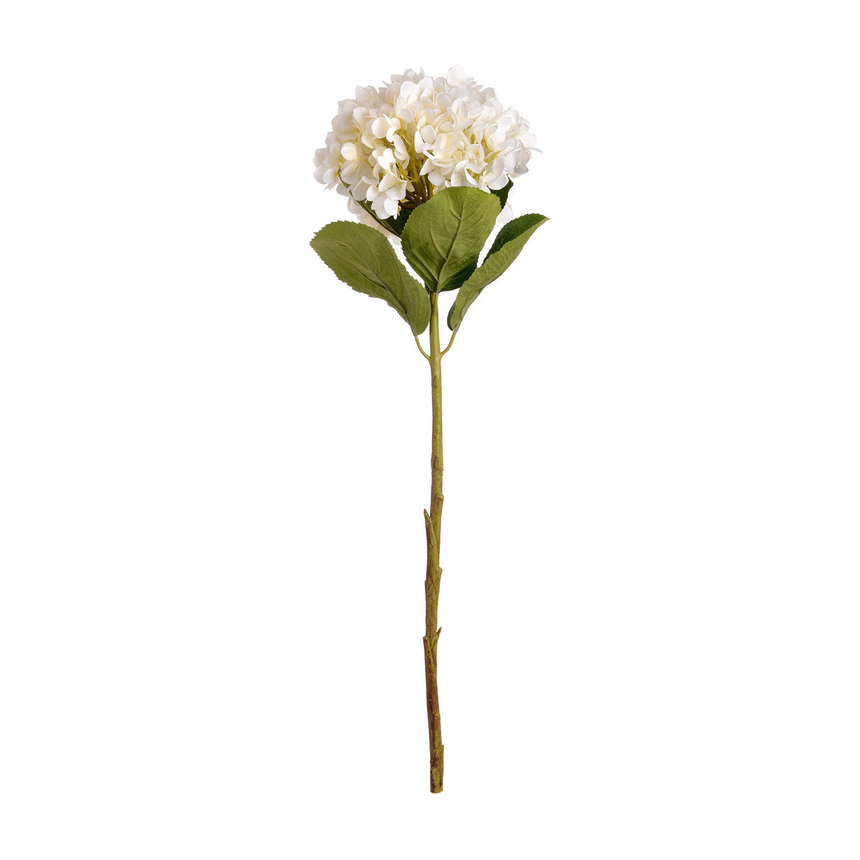 Oversized White Hydrangea