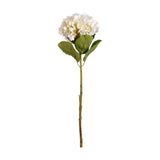 Oversized White Hydrangea